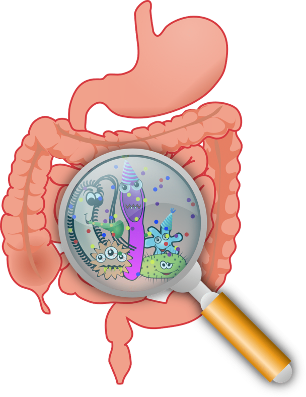 Irritable Bowel Syndrome