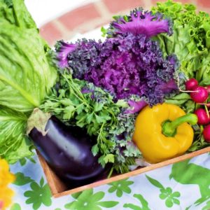 Amazing Health Benefits of a Plant-Based Diet