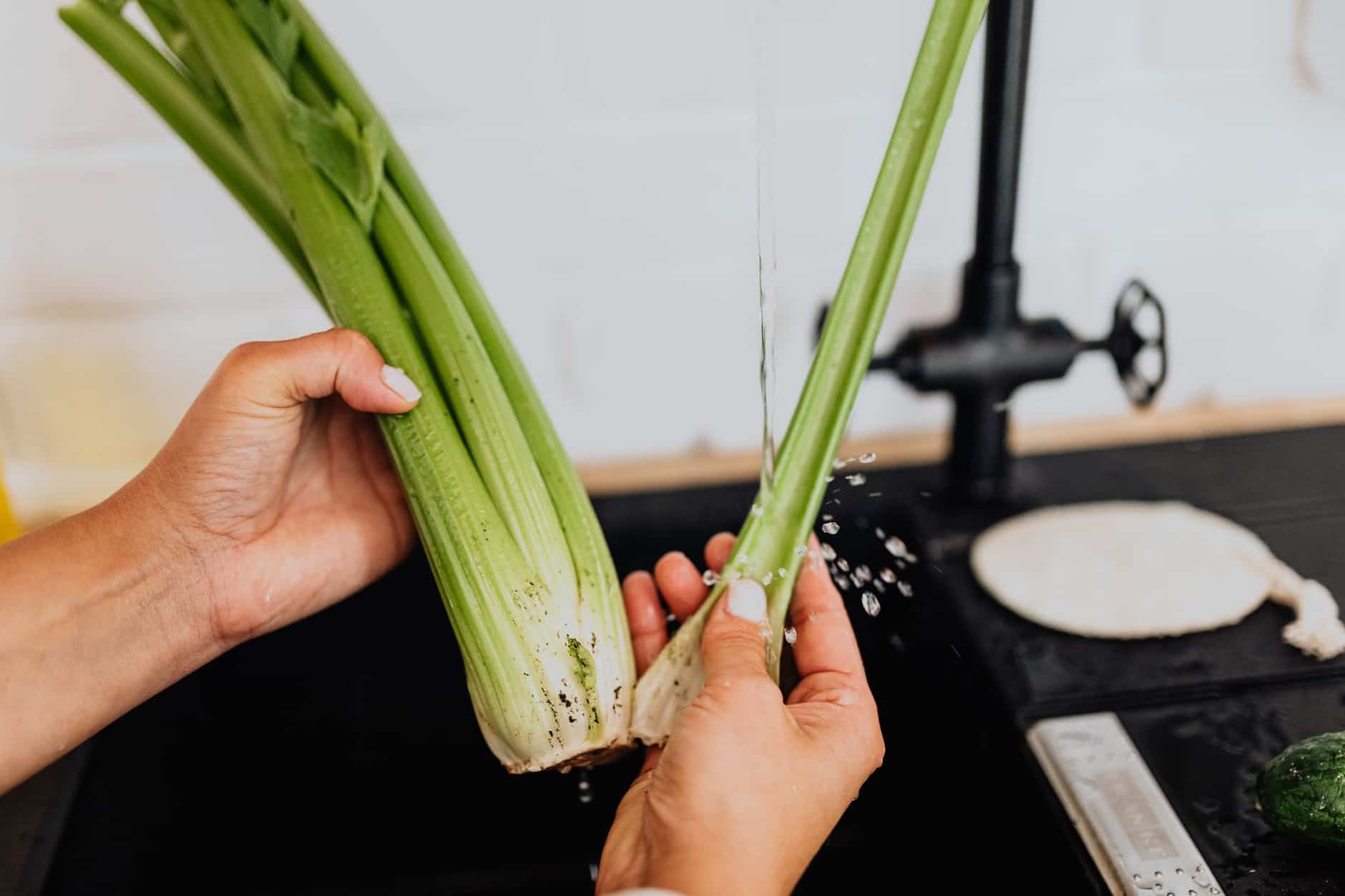 celery won't help you burn fat