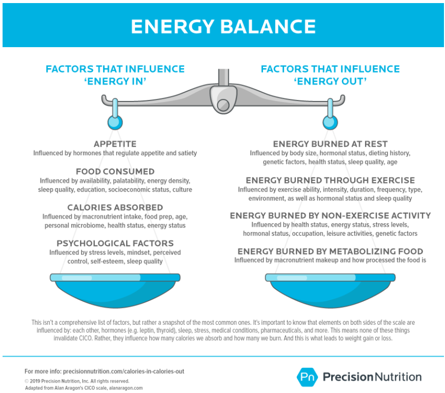 Getting 10,000 steps a day and exercising for 30 minutes affects your energy balance. 